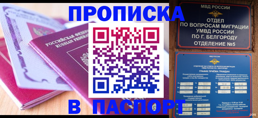 временная регистрация законно в Елизово
